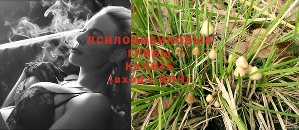 молекула духа Абаза