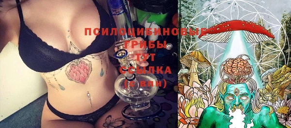 ПСИЛОЦИБИНОВЫЕ ГРИБЫ Абдулино